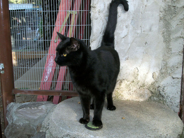 Dunstan