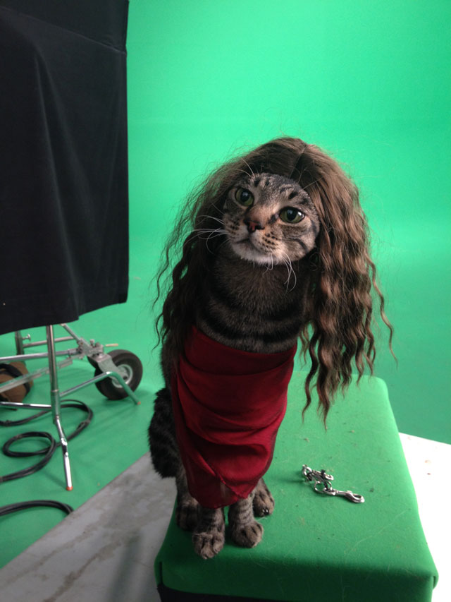 Juno as Psycho Cat