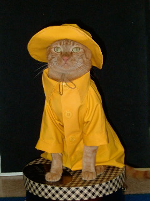 Yellow Rain Coat