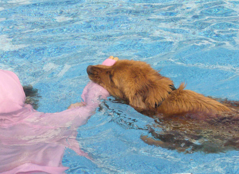 Golden saving person in water