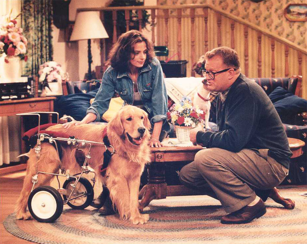 Ajax as Speedy on The Drew Carey Show
