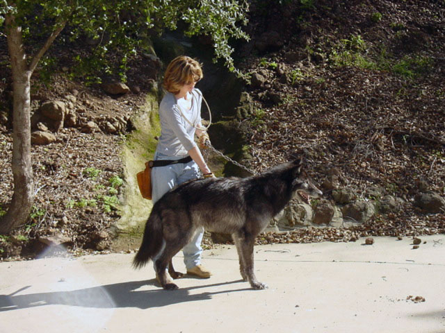 Dimitri with Trainer
